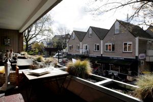 Goudkust 1 vakantiewoning bergen