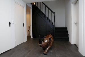 Vakantiehuis Villa Pescado bergen